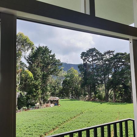 Green Mount View Two Bed Room Apartment Nuwara Eliya Buitenkant foto