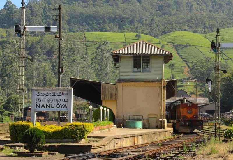 Green Mount View Two Bed Room Apartment Nuwara Eliya Buitenkant foto