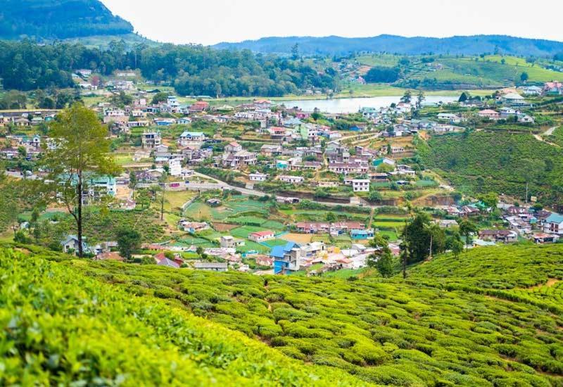 Green Mount View Two Bed Room Apartment Nuwara Eliya Buitenkant foto