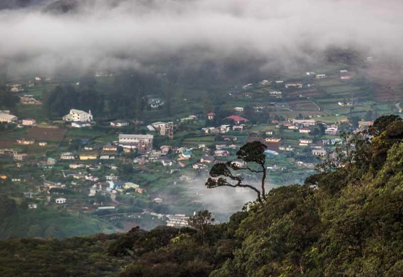 Green Mount View Two Bed Room Apartment Nuwara Eliya Buitenkant foto